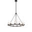 12 - Light Chandelier