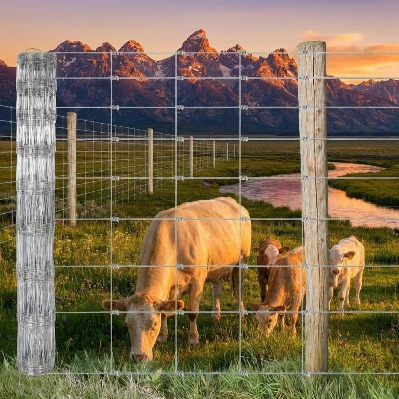 Gate Fencing, 3.94' H x 328.08' W
