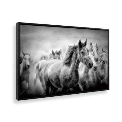 Thundering Hooves Canvas Print