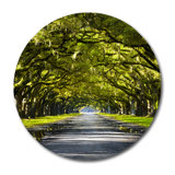 The Path Home Print