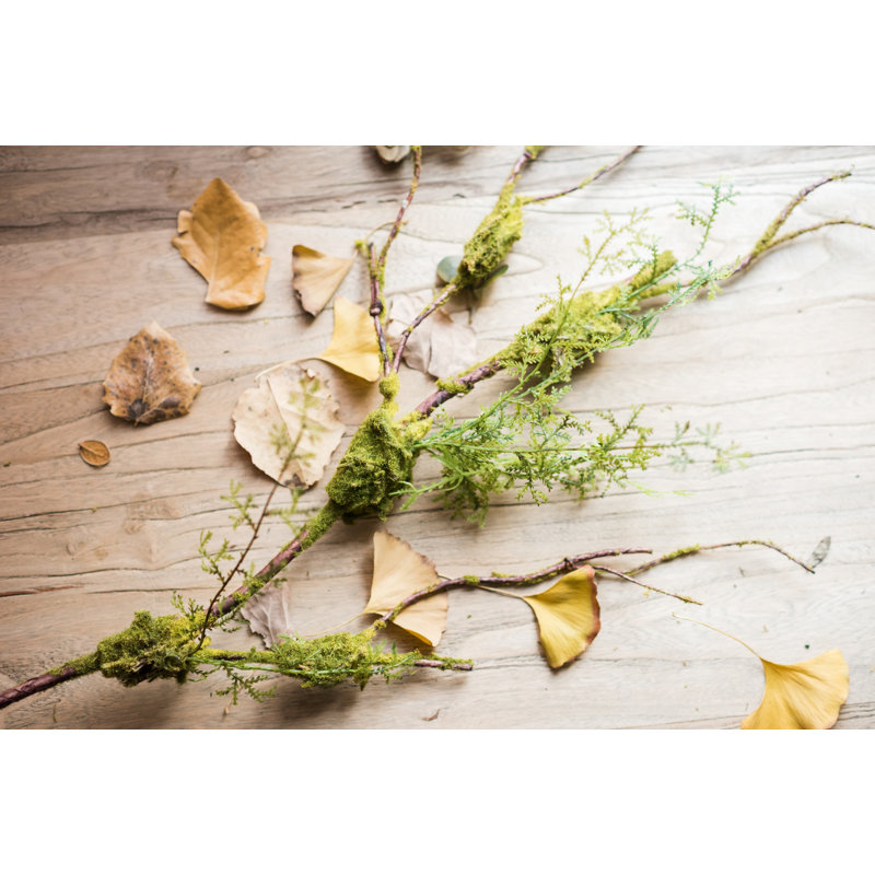 Moss Arrangement