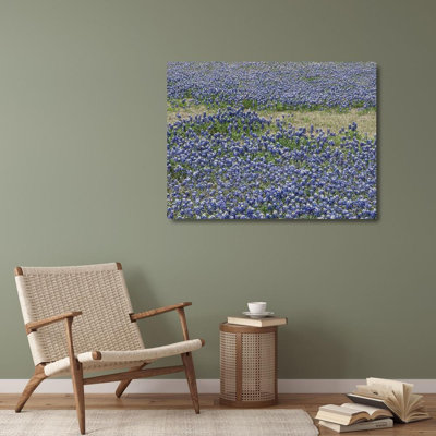 Highmith, Carol Gallery Wrapped Canvas Art: A profusion of Bluebonnets, in a field in Boerne, TX
