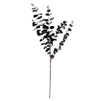 Andarius Arrangement