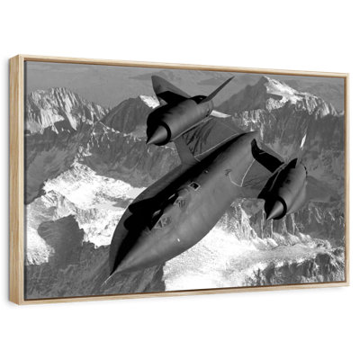 SR-71 merle