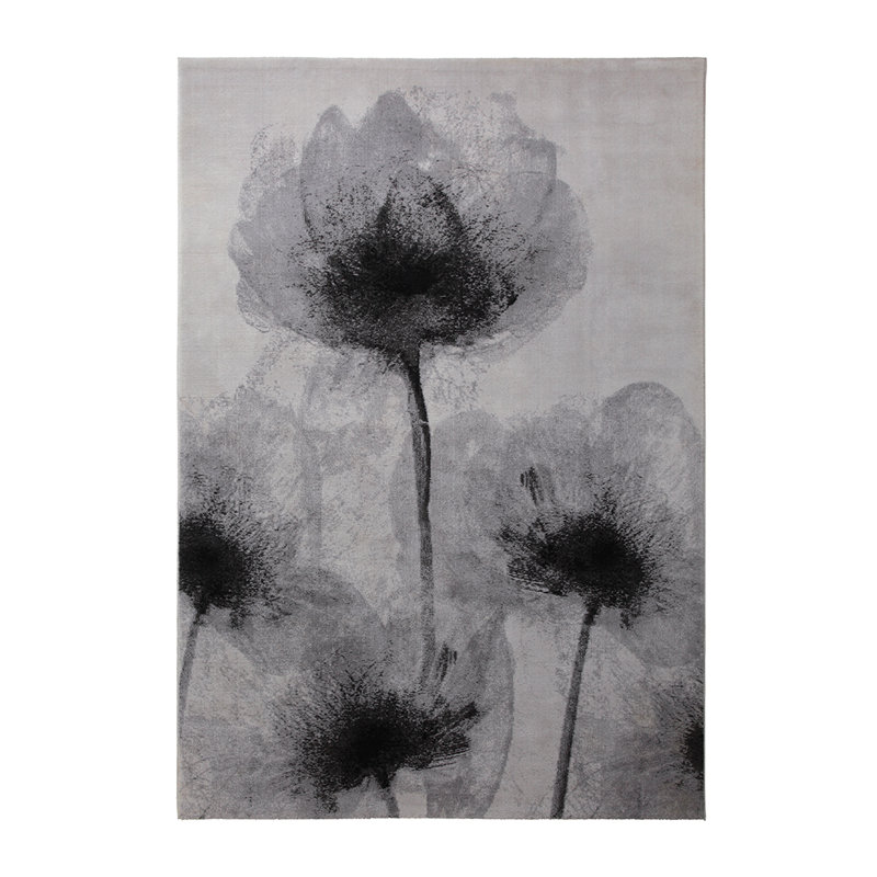 Night Shade Grey Rug, Rectangle 120 x 180cm