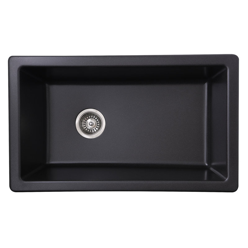 Reinart 30'' L Single Basin Kitchen Sink, Black
