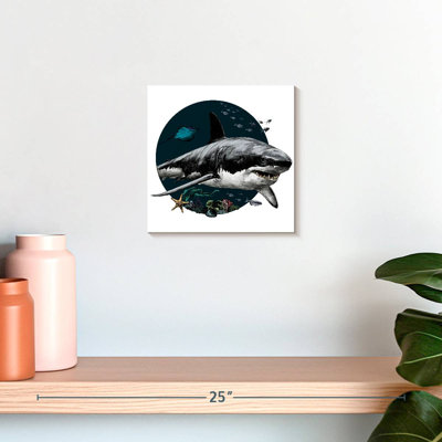 Crowle Grey Shark Illustration