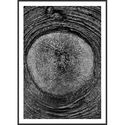 Single Picture Frame Print