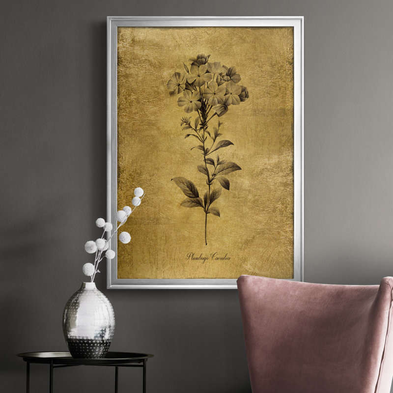 Ameelya, croquis dorés botaniques II, impression sur toile encadrée, Argent, H 26,5 po x l 36,5 po x P 1,5 po
