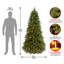 The Holiday Aisle® Jersey Fraser Fir Tree with Clear Lights-835324939