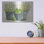 «August Eucalyptus Farmer's Market» par Cindy Jacobs, August Grove®, art mural en métal