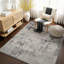 Oriental Area Rug-1766624433