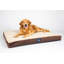 Lit matelassé pour animaux Serta-31319158-31319160