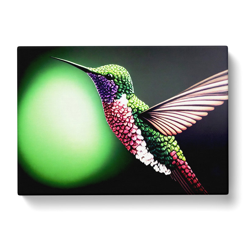 Bold Hummingbird - Wrapped Canvas, 40cm H x 60cm W x 3cm D