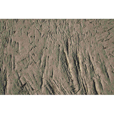 " Scratched Concrete Texture "
