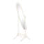 Beecroft Oval Freestanding Full Length Mirror-19298103