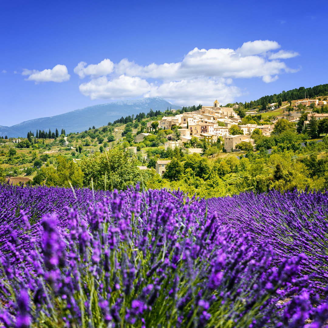 Lavender Field And Village, France - Wrapped Canvas Print