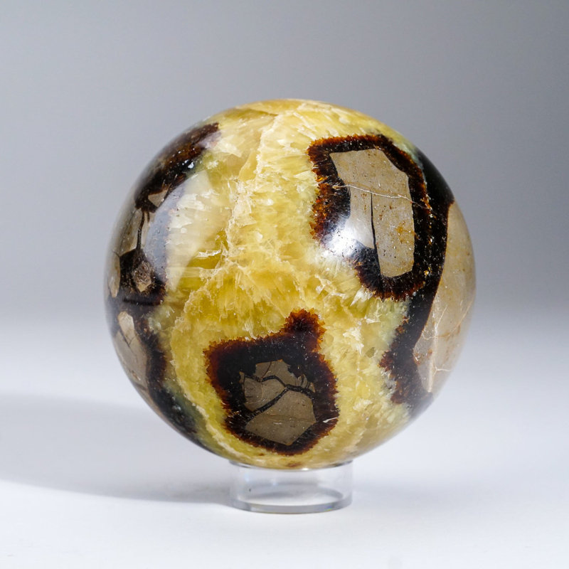 Sphère septarienne polie de Madagascar (4,5 lb)