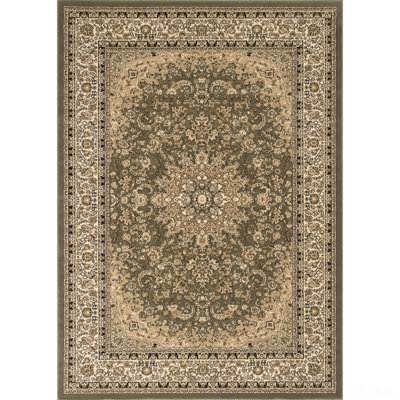 Oriental Area Rug in Green/Brown