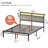 Antioch Full Platform Bed with Storage Headboard, LED Light & Charging Station, USB & Type-C Ports, No Box Spring Needed-109575520-87543190