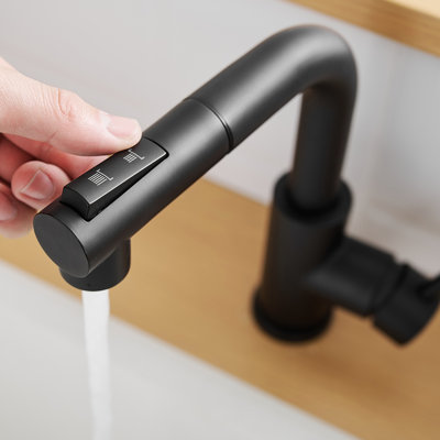 Robinet de lavabo de préparation noir 360 pivotant avec douchette extractible - Acier inoxydable, contemporain pour la cuisine et la salle de bain