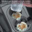 Ensemble de 2 sous-verres Monterey Bay Sea Turtles