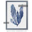 « algues under water iv » par paul cezanne-cadre photo, reproduction d’art-450035879-450035878-450071990