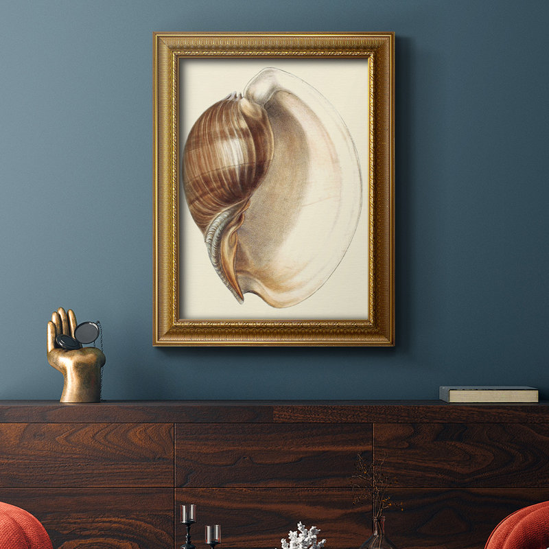 Splendid Shells III - Peinture sur toile encadrée, H 20 po x l 16 po x P 2,5 po