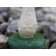 Copemish Plants & Flowers Weather Resistant UV Resistant Plastic Garden Statue