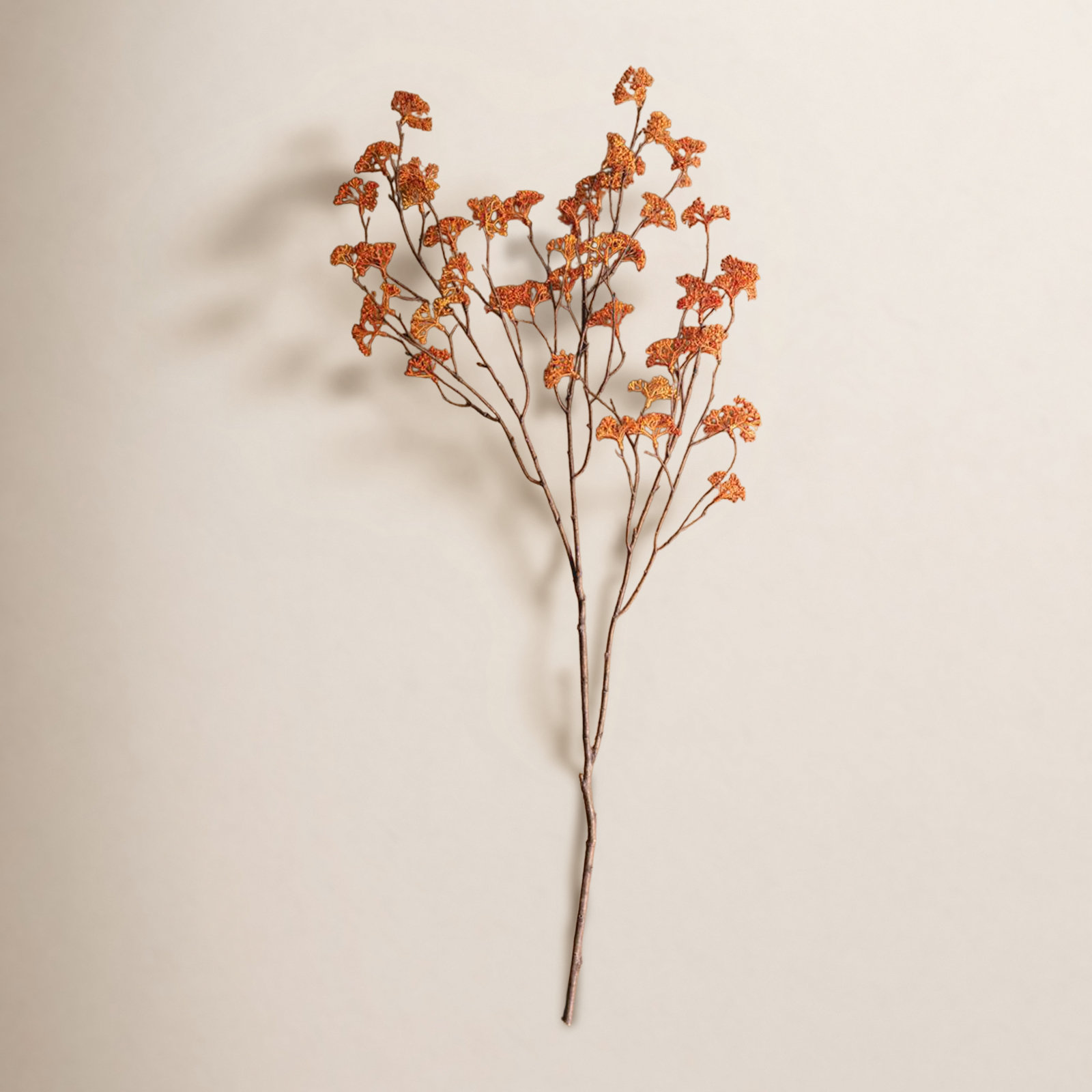 Rice Flower Stems, Orange