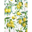 Motif de citron - imprimé mat jaune encadré pour la cuisine