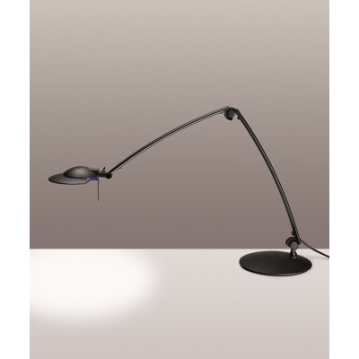 Radius Adjustable Architect