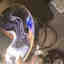 Customer photo 1 of 4