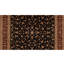 Oriental Area Rug