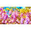 Panneau mural lisse 24 panneaux-628413317