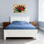 Plantes et fleurs, fleurs rouges, feuilles vertes, reproduction d'art sur toile-1438171992-1438171993-1438171995