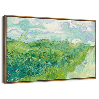 Champs de blé vert