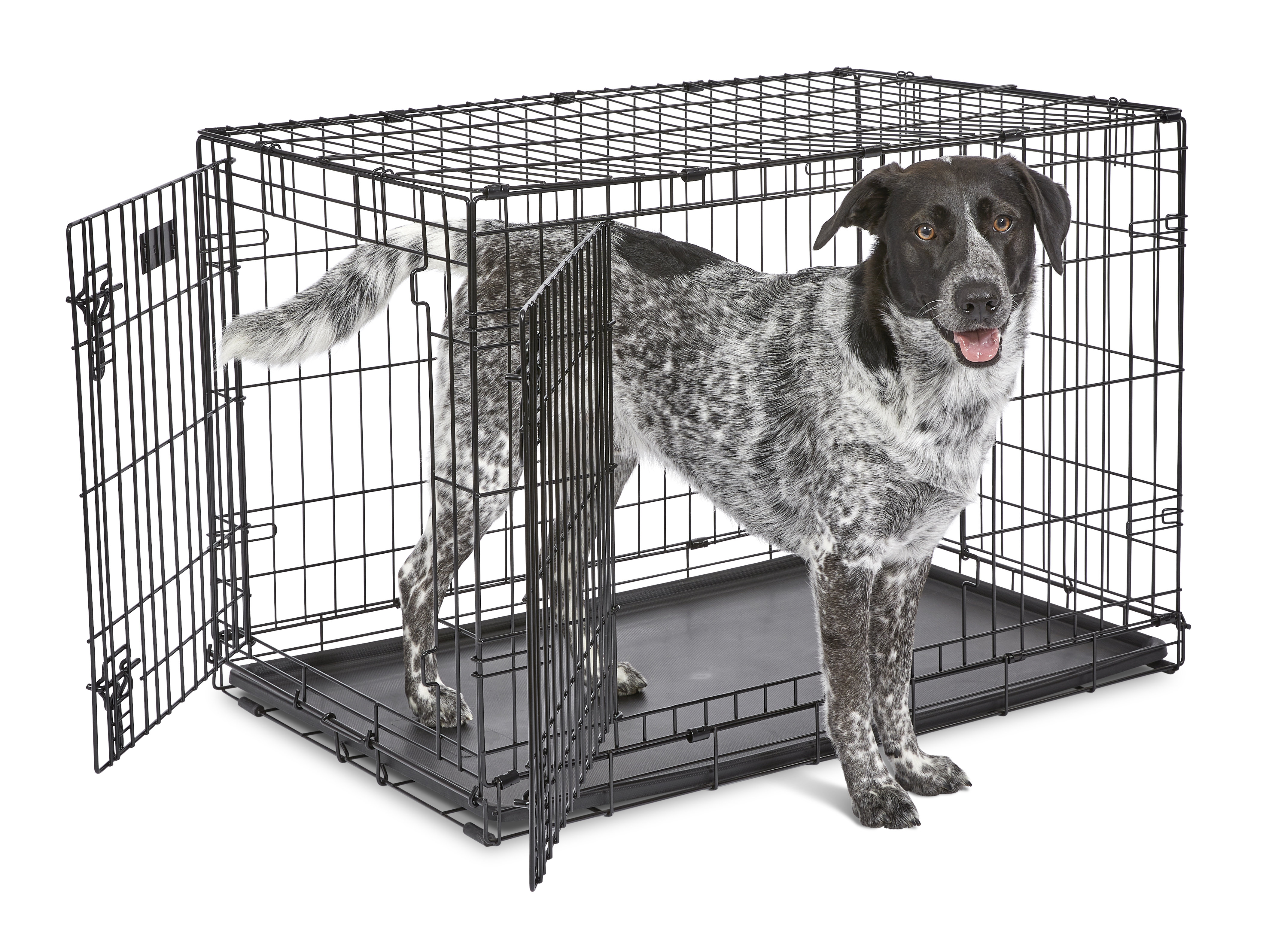 MidWest Newly Enhanced Folding Metal Toy Dog Crate with Divider