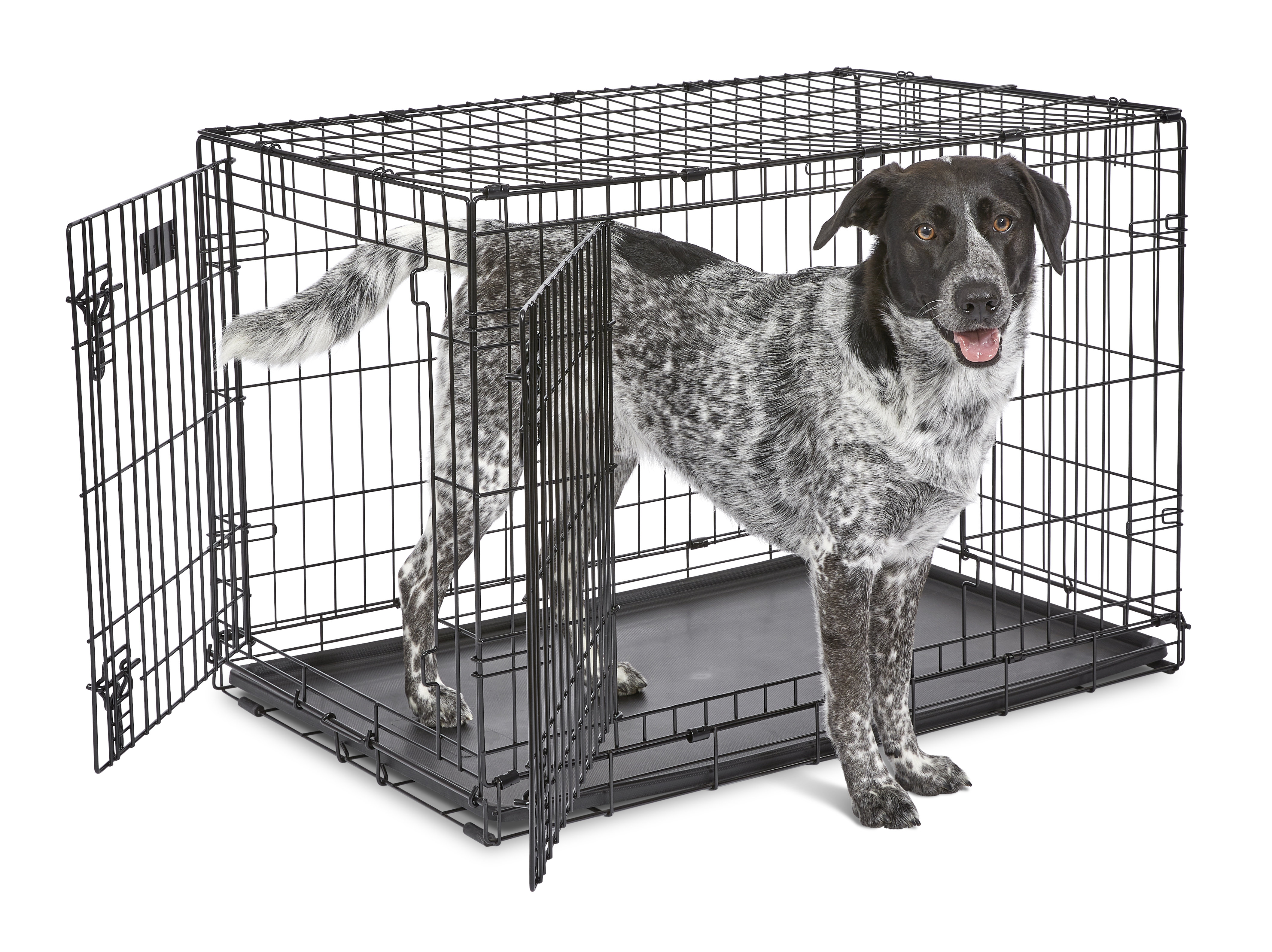 https://assets.wfcdn.com/im/58672971/compr-r85/2324/232421799/midwest-homes-for-pets-double-door-icrate.jpg