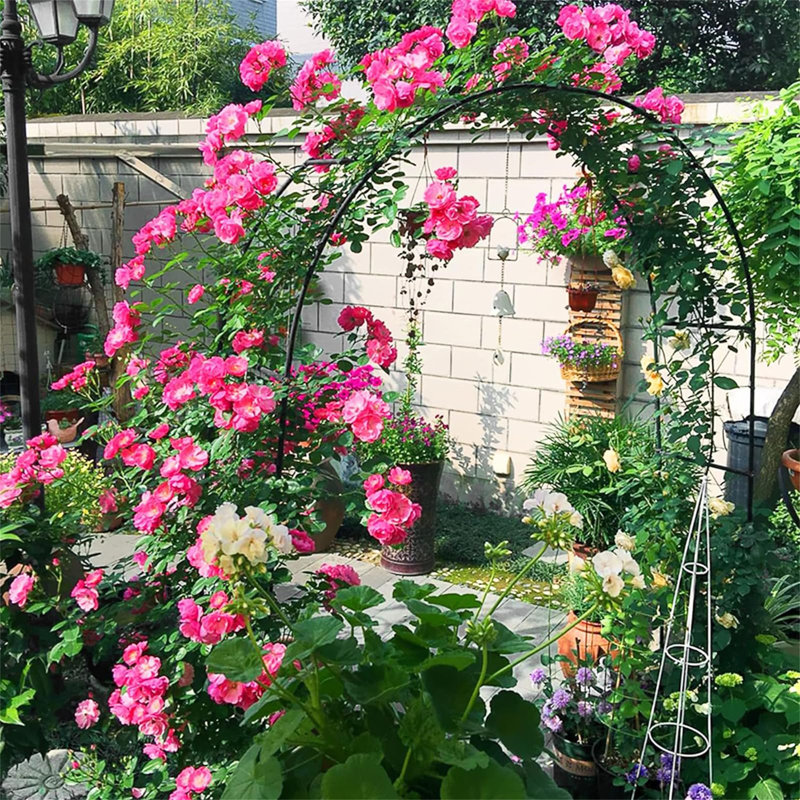 Sharenna 140cm W x 38cm D Metal Arbour in Black