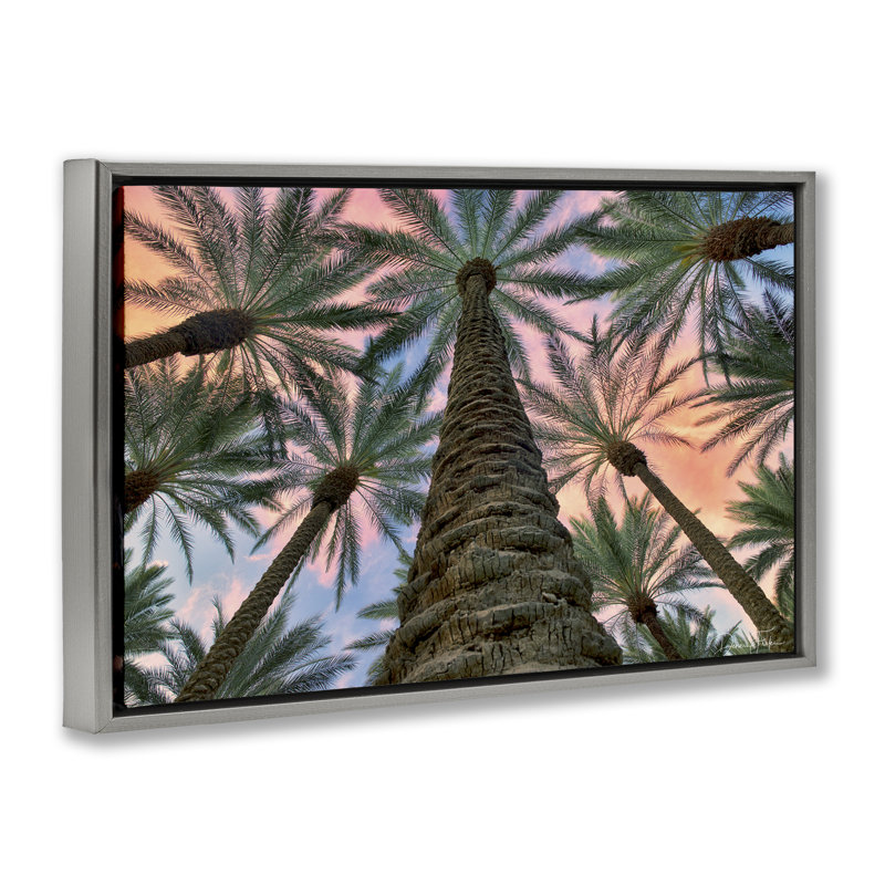 «Tall Overhead Palms», toile flottante encadrée par Dennis Frates, Cadre flottant gris lustré, H 17 po x l 25 po