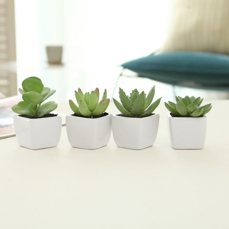10.5cm Faux Succulent Plant in Ceramic Pot