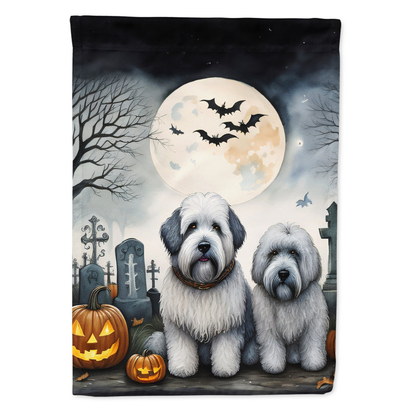 Double Sided 15.5'' H x 11.25'' W Polyester Halloween Garden Flag
