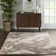 Wilbraham Abstract Area Rug