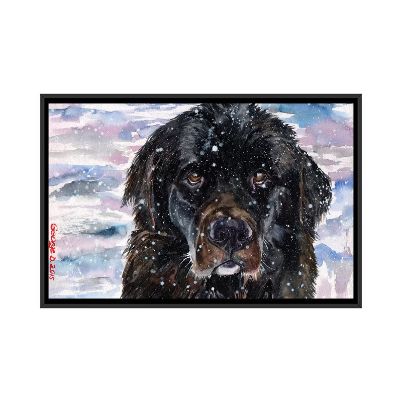 Impression sur toile terre-neuve, H 18 po x l 26 po x P 1,5 po, Toile avec cadre noir, Pas de tapis