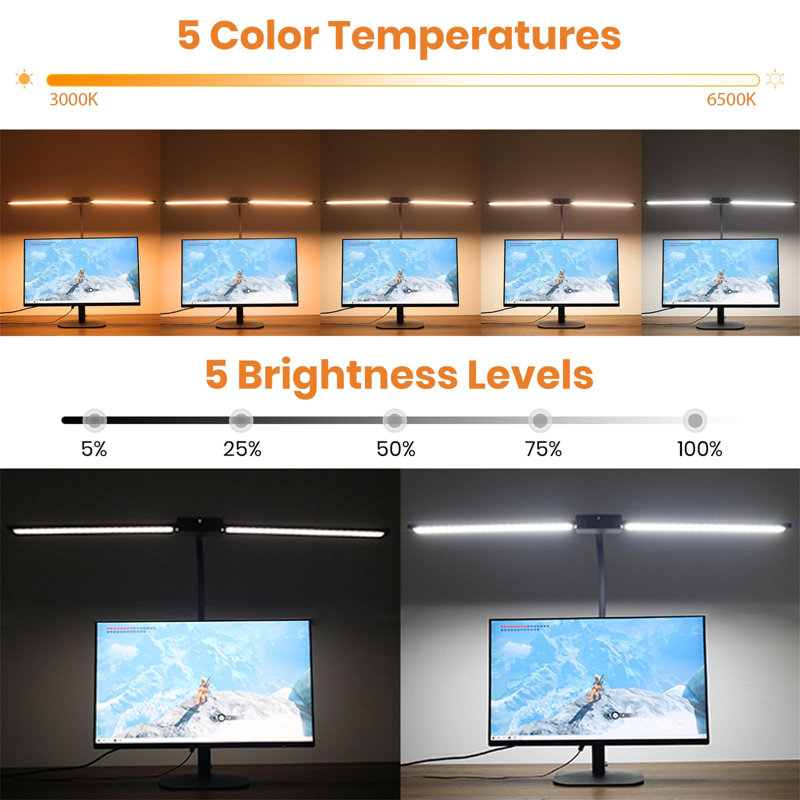 Darshana Desk Lamp