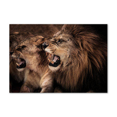 Roaring Lions - No Frame Print on Canvas