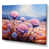 Wrapped Canvas