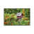 White Floater Framed is unavailable