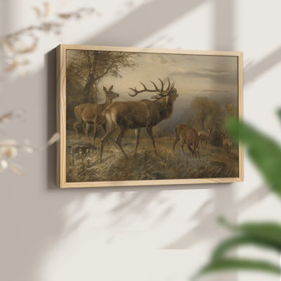 Vintage Wildlife-XXVII -Framed Print - Restickable